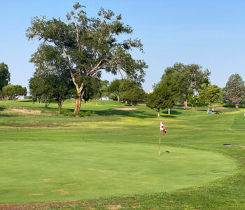 Los-Altos-Executive-Golf-Course-4